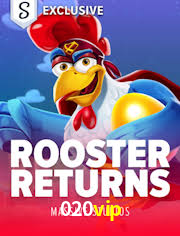 Descubra o Mundo do Cassino Online com 020vip